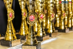 2024-01-28-proglasenje_saks_RS-4