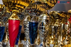 2024-01-28-proglasenje_saks_RS-6